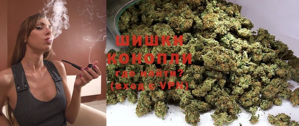 PSILOCYBIN Навашино