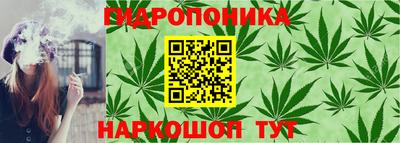 альфа пвп Берёзовский