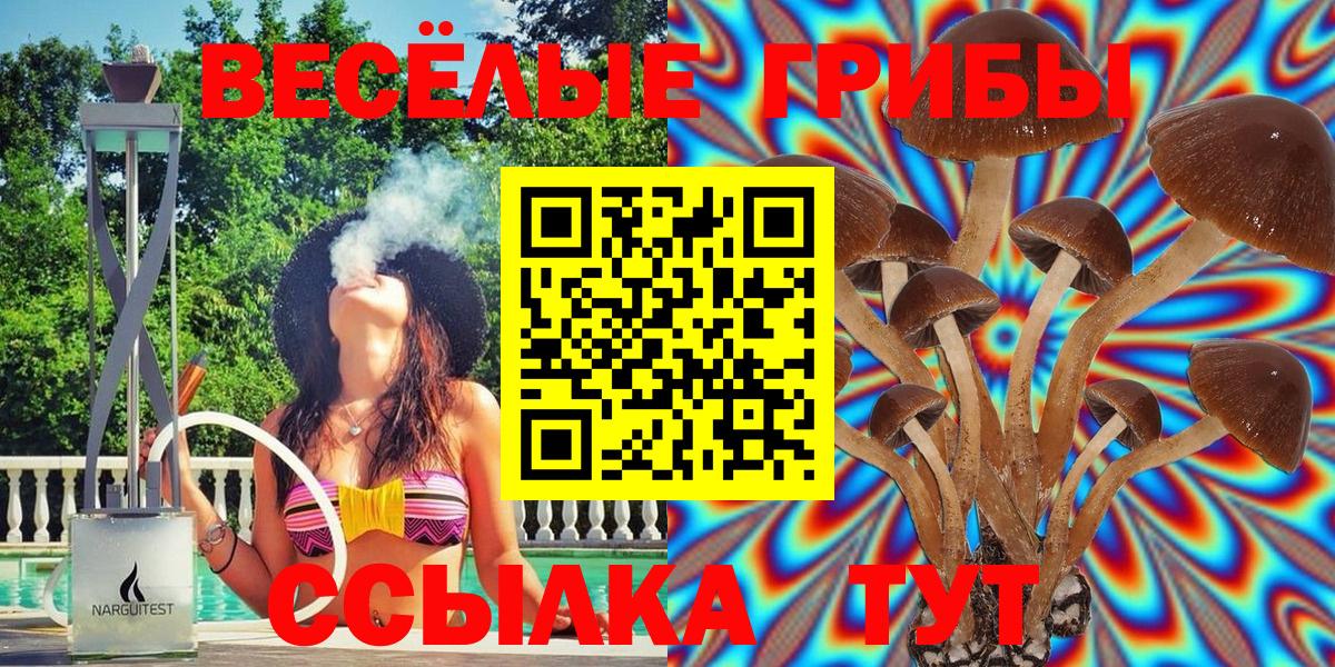 Псилоцибиновые грибы Psilocybine cubensis  Галлюциногенные грибы Magic Shrooms  Лангепас  Вход с VPN 